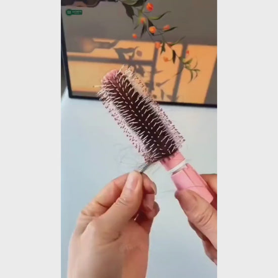 Self Cleaning Hair Brush Video Features